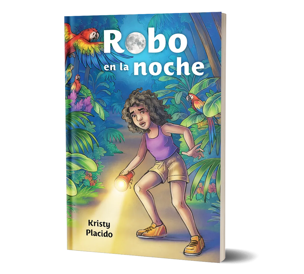 Robo en la noche, (2nd edition) from Wayside Publishing