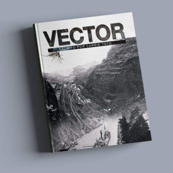 Vector, by Carrie Toth for Fluency Matters/Wayside
