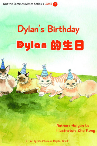 Dylan's Birthday, Year 1 Book 2 by Haiyun Lu, by special order